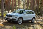 Skoda Karoq 4x4 2017 года (WW)